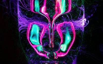 La coscienza artificiale